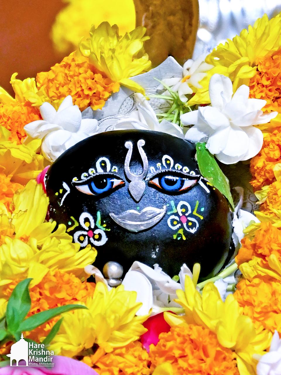 2026-05-11 Darshan